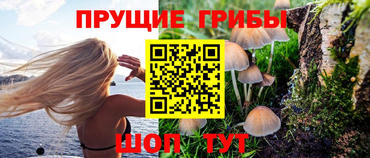 Грязи  Галлюциногенные грибы MAGIC MUSHROOMS  Галлюциногенные грибы GOLDEN TEACHER  Вход с VPN 